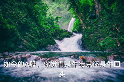 如今的A股，你覺得是牛結束還是?；仡^