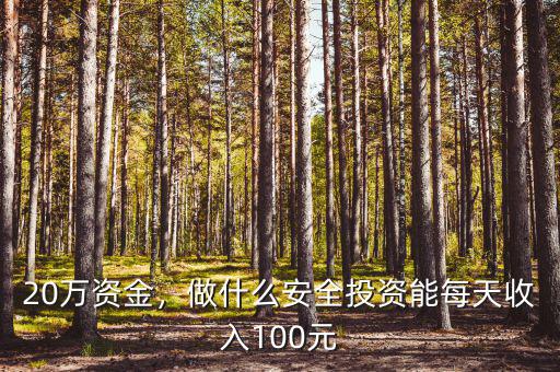 20萬(wàn)資金，做什么安全投資能每天收入100元
