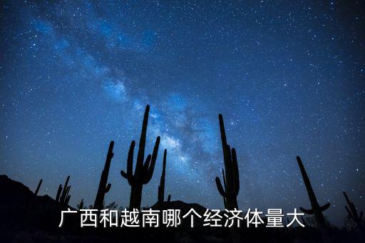 廣西和越南哪個經(jīng)濟(jì)體量大