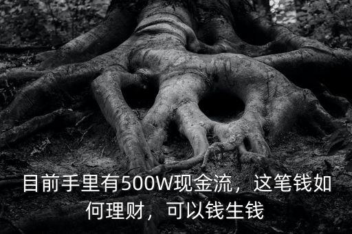 目前手里有500W現(xiàn)金流，這筆錢如何理財，可以錢生錢