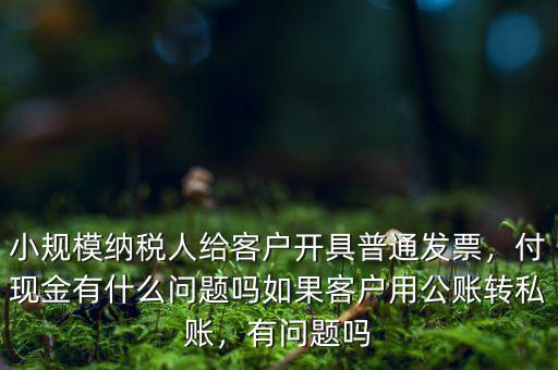 小規(guī)模納稅人給客戶開具普通發(fā)票，付現(xiàn)金有什么問題嗎如果客戶用公賬轉私賬，有問題嗎