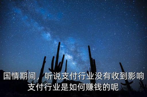 國情期間，聽說支付行業(yè)沒有收到影響支付行業(yè)是如何賺錢的呢