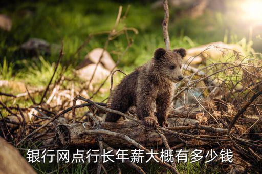 銀行網(wǎng)點(diǎn)行長(zhǎng)年薪大概有多少錢(qián)