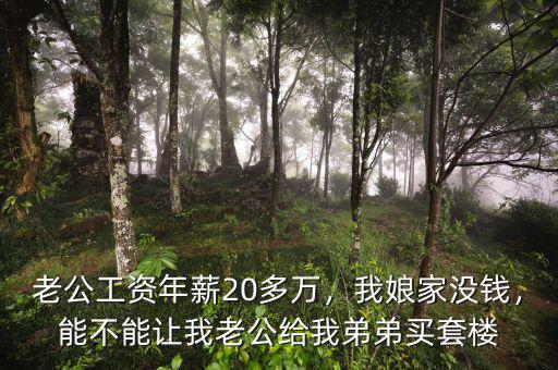 老公工資年薪20多萬，我娘家沒錢，能不能讓我老公給我弟弟買套樓