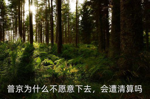普京為什么不愿意下去，會(huì)遭清算嗎