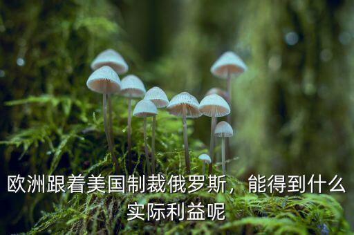 歐洲跟著美國制裁俄羅斯，能得到什么實(shí)際利益呢