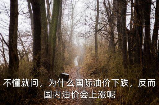 不懂就問，為什么國(guó)際油價(jià)下跌，反而國(guó)內(nèi)油價(jià)會(huì)上漲呢