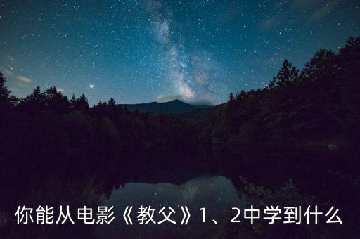 你能從電影《教父》1、2中學(xué)到什么