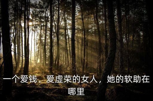 一個(gè)愛錢、愛虛榮的女人，她的軟助在哪里