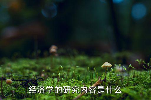 經濟學主要研究什么,經濟學的核心是什么