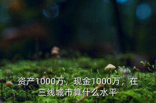 資產(chǎn)1000萬，現(xiàn)金1000萬，在三線城市算什么水平