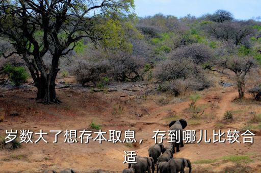歲數(shù)大了想存本取息，存到哪兒比較合適