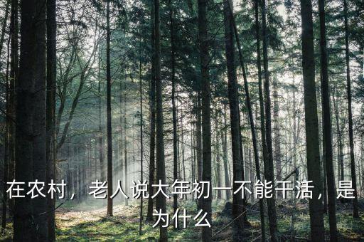 在農村，老人說大年初一不能干活，是為什么