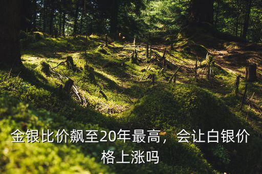 金銀比價飆至20年最高，會讓白銀價格上漲嗎