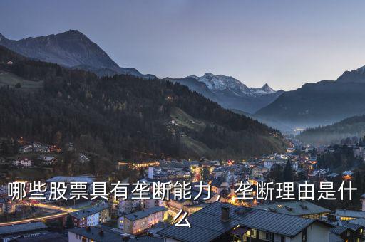 哪些股票具有壟斷能力，壟斷理由是什么