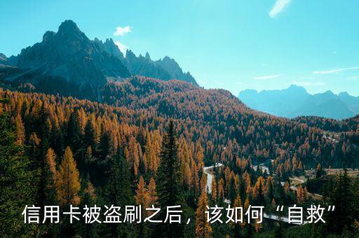 信用卡被盜刷之后，該如何“自救”