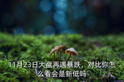 11月23日大盤再遇暴跌，對比你怎么看會是新低嗎