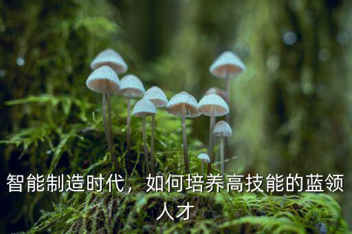智能制造時(shí)代，如何培養(yǎng)高技能的藍(lán)領(lǐng)人才