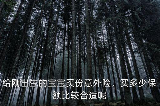 給剛出生的寶寶買份意外險，買多少保額比較合適呢