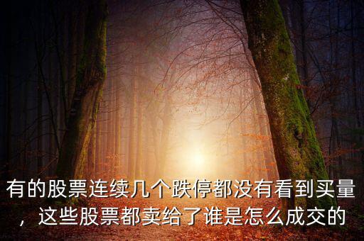 有的股票連續(xù)幾個跌停都沒有看到買量，這些股票都賣給了誰是怎么成交的