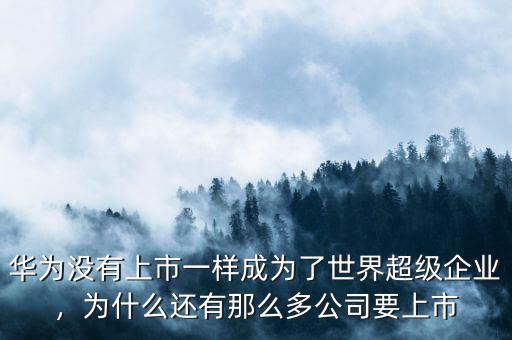 華為沒有上市一樣成為了世界超級企業(yè)，為什么還有那么多公司要上市