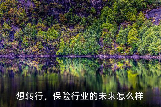 想轉行，保險行業(yè)的未來怎么樣