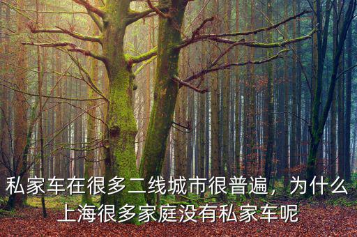 為什么要限制城市私家車(chē)的數(shù)量,私家車(chē)為什么要限制人數(shù)