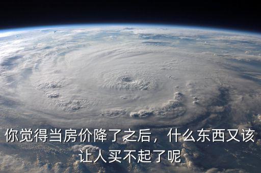 你覺得當(dāng)房價降了之后，什么東西又該讓人買不起了呢