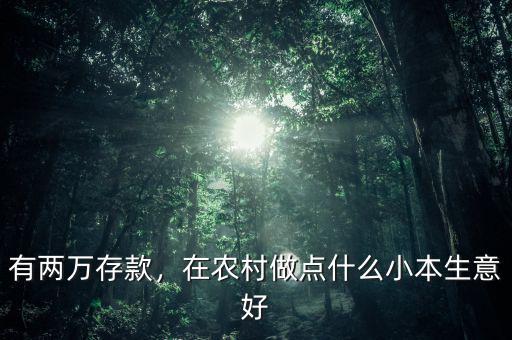 有兩萬存款，在農(nóng)村做點(diǎn)什么小本生意好