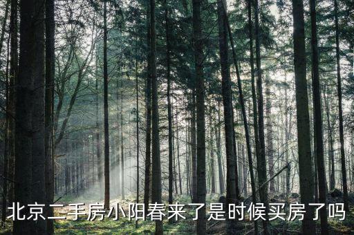 房地產小陽春是什么時候,是時候買房了嗎