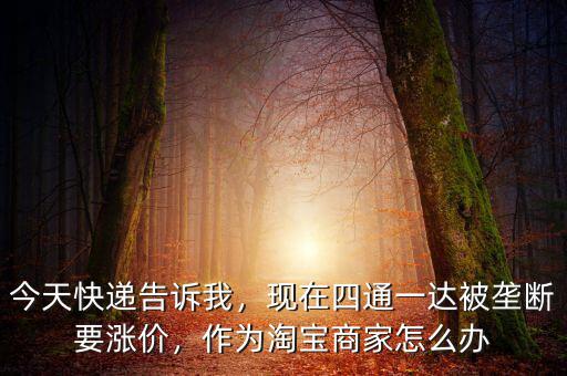 今天快遞告訴我，現(xiàn)在四通一達(dá)被壟斷要漲價(jià)，作為淘寶商家怎么辦