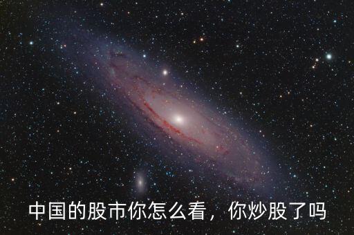 中國的股市你怎么看，你炒股了嗎
