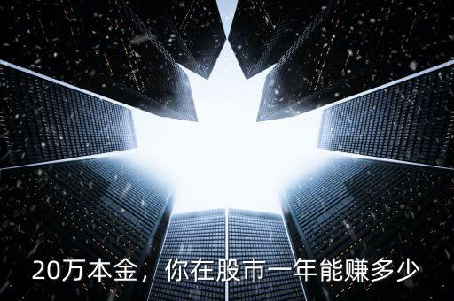 20萬本金，你在股市一年能賺多少