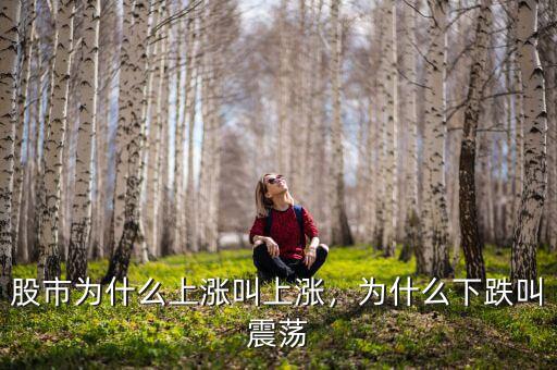 股市為什么上漲叫上漲，為什么下跌叫震蕩