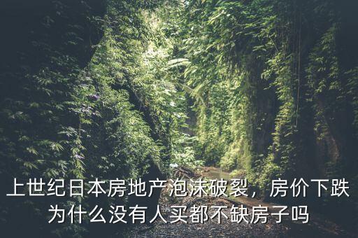 上世紀(jì)日本房地產(chǎn)泡沫破裂，房?jī)r(jià)下跌為什么沒(méi)有人買都不缺房子嗎