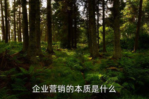 企業(yè)營(yíng)銷的本質(zhì)是什么
