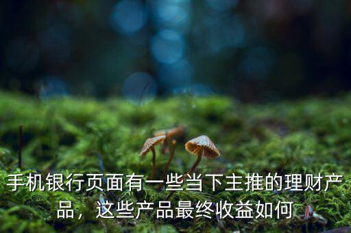 手機(jī)銀行頁(yè)面有一些當(dāng)下主推的理財(cái)產(chǎn)品，這些產(chǎn)品最終收益如何