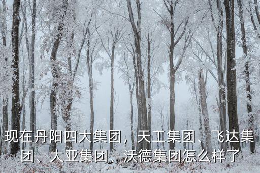 現(xiàn)在丹陽(yáng)四大集團(tuán)，天工集團(tuán)、飛達(dá)集團(tuán)、大亞集團(tuán)、沃德集團(tuán)怎么樣了