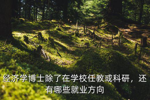 經(jīng)濟(jì)學(xué)博士除了在學(xué)校任教或科研，還有哪些就業(yè)方向
