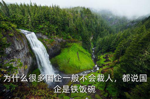 為什么很多國(guó)企一般不會(huì)裁人，都說國(guó)企是鐵飯碗