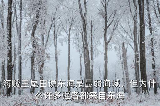東海問題是什么,但為什么許多強(qiáng)者都來(lái)自東海