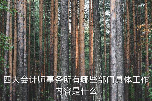 會計(jì)師事務(wù)所機(jī)構(gòu)代碼是什么,四大會計(jì)師事務(wù)所有哪些部門