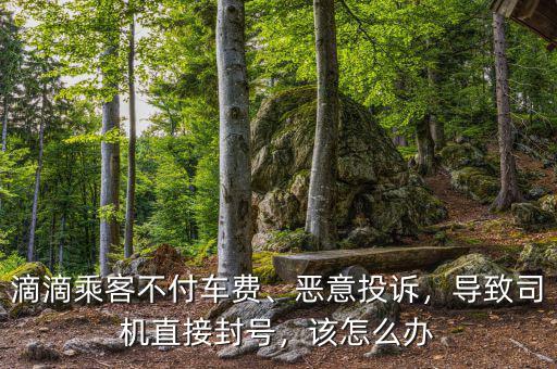 滴滴乘客不付車費(fèi)、惡意投訴，導(dǎo)致司機(jī)直接封號，該怎么辦