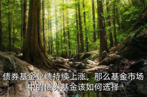 債券基金業(yè)績持續(xù)上漲，那么基金市場中的債券基金該如何選擇