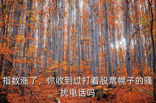 指數(shù)漲了，你收到過打著股票幌子的騷擾電話嗎