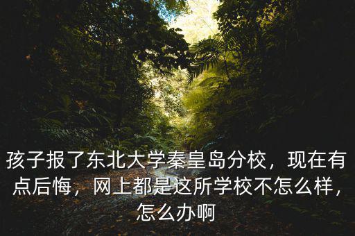 孩子報了東北大學(xué)秦皇島分校，現(xiàn)在有點后悔，網(wǎng)上都是這所學(xué)校不怎么樣，怎么辦啊