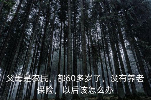 父母是農(nóng)民，都60多歲了，沒有養(yǎng)老保險(xiǎn)，以后該怎么辦