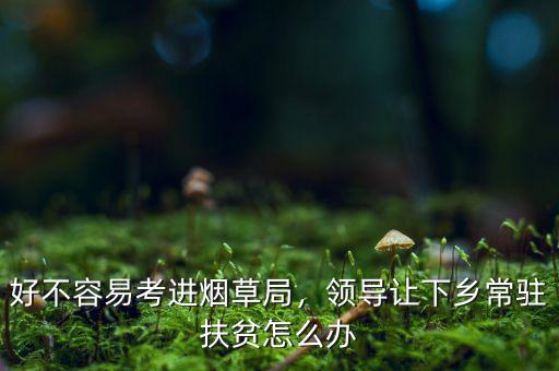 好不容易考進(jìn)煙草局，領(lǐng)導(dǎo)讓下鄉(xiāng)常駐扶貧怎么辦