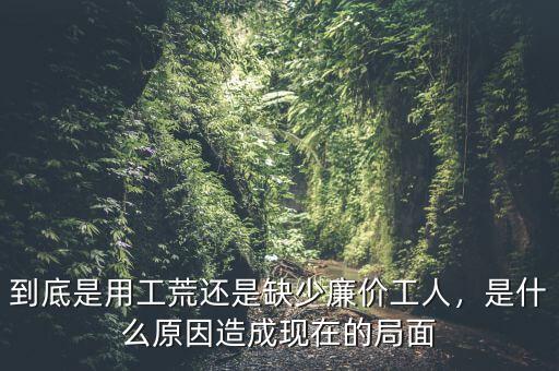 到底是用工荒還是缺少廉價工人，是什么原因造成現在的局面