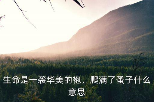 生命是一襲華美的袍，爬滿了蚤子什么意思
